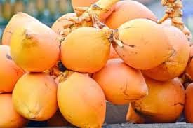 King Coconut